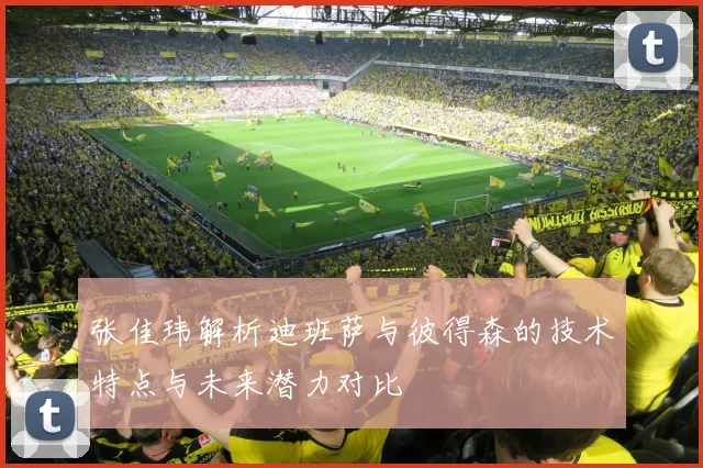 张佳玮解析迪班萨与彼得森的技术特点与未来潜力对比