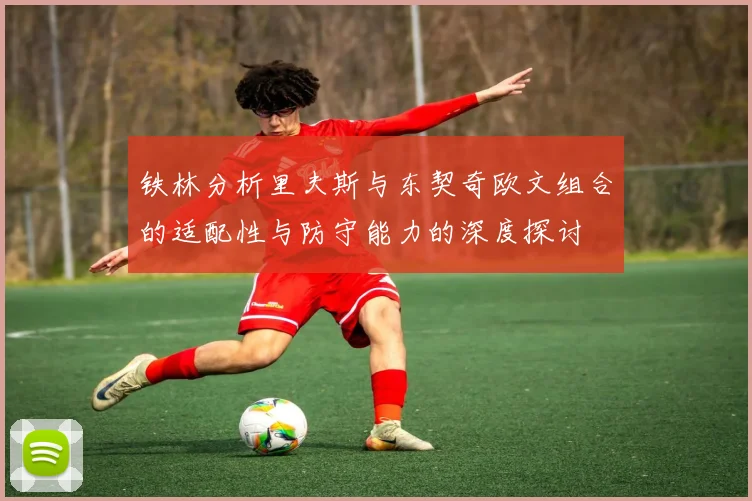 铁林分析里夫斯与东契奇欧文组合的适配性与防守能力的深度探讨
